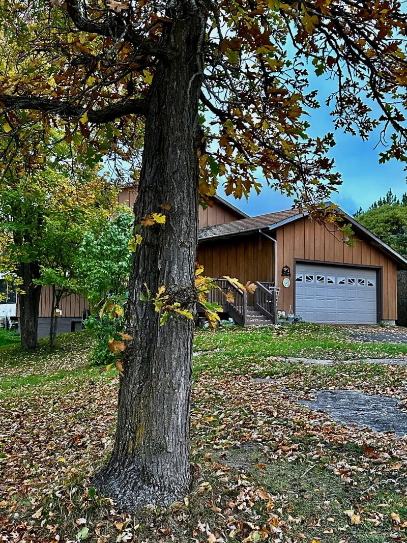 1988 County Road 133, International Falls, MN 56649