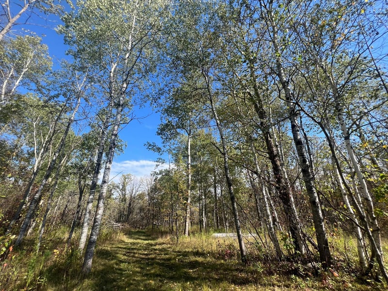 19196 State Hwy 18, Mcgrath, MN 56350