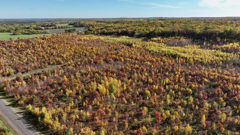 0 County Hwy E, Springbrook, WI 54875