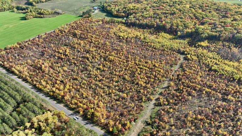 0 County Hwy E, Springbrook, WI 54875