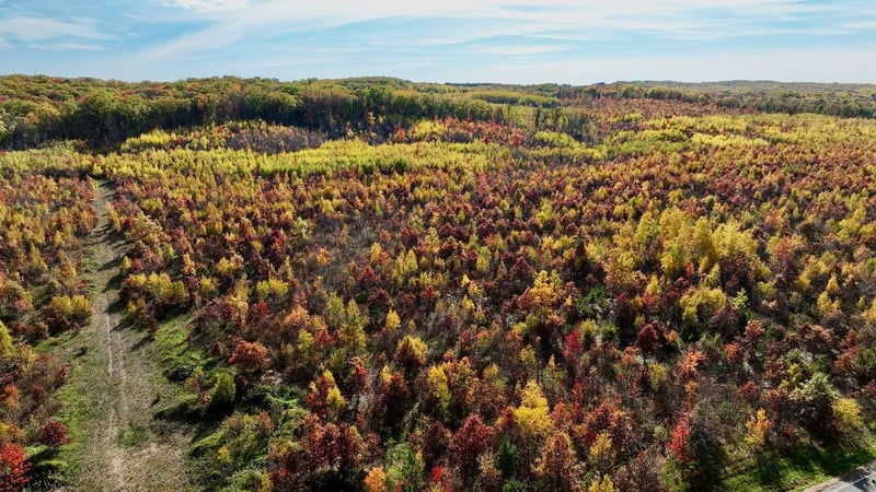 0 County Hwy E, Springbrook, WI 54875
