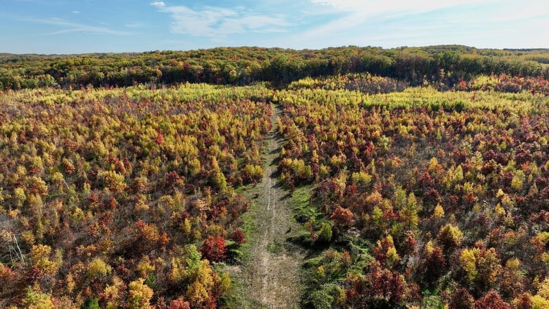 0 County Hwy E, Springbrook, WI 54875