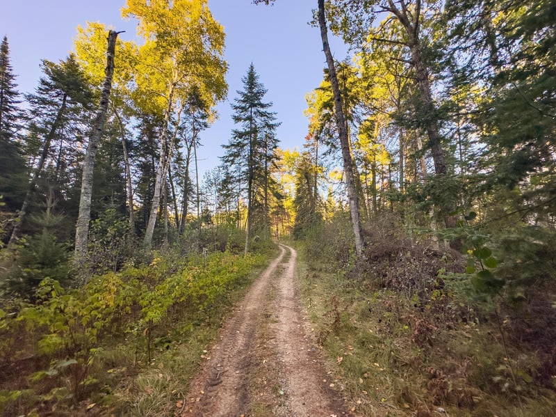 13895 Gazelle Trl, Park Rapids, MN 56470