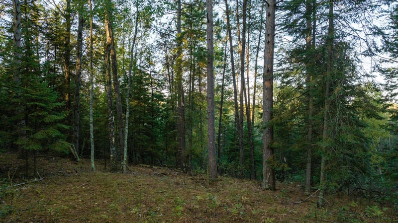13895 Gazelle Trl, Park Rapids, MN 56470