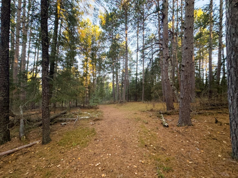 13895 Gazelle Trl, Park Rapids, MN 56470
