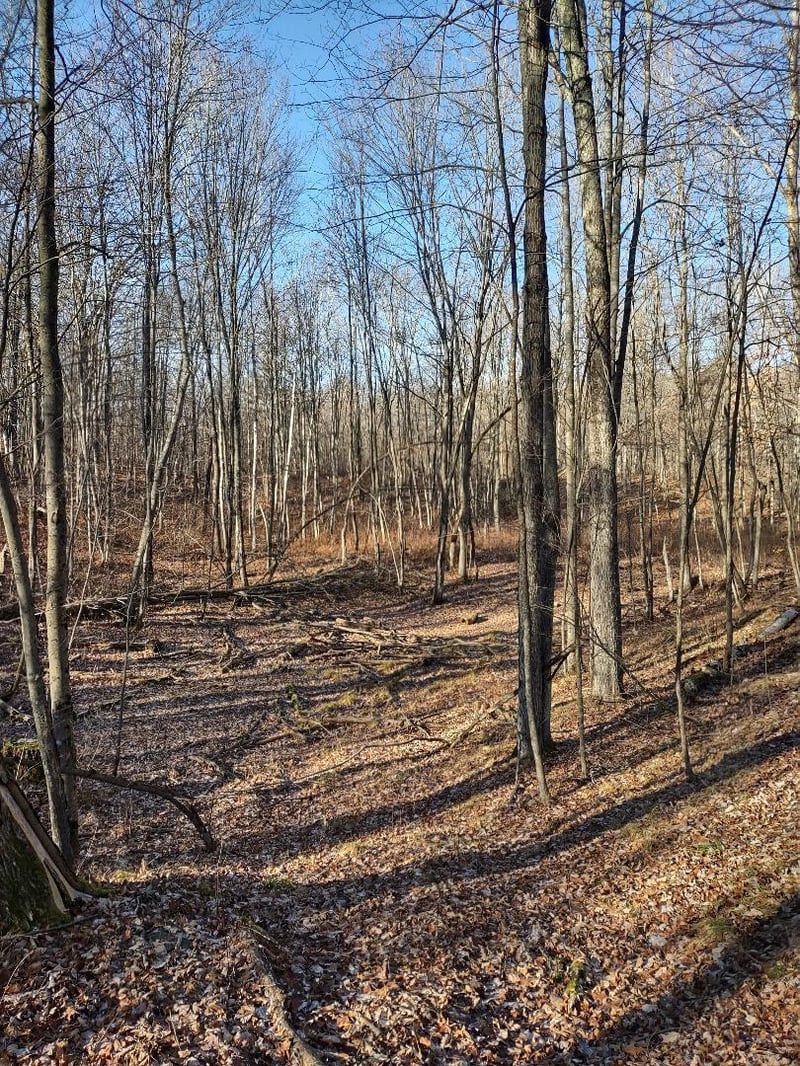 XXX Pretty Rd, Springbrook, WI 54875