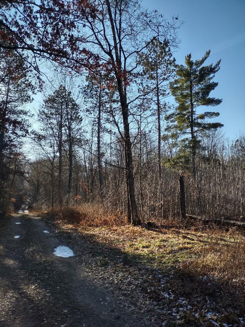 XXX Pretty Rd, Springbrook, WI 54875