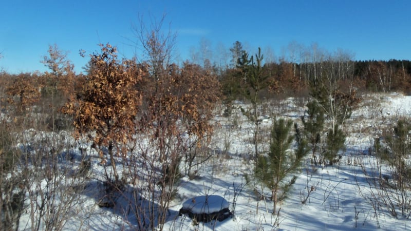 LOTS 11 - 12 Pine Tree Trl, Springbrook, WI 54875