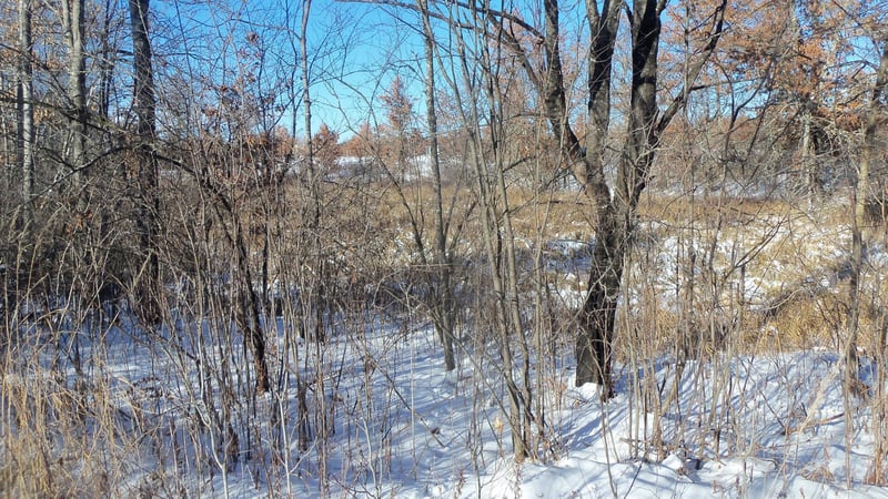 LOTS 11 - 12 Pine Tree Trl, Springbrook, WI 54875