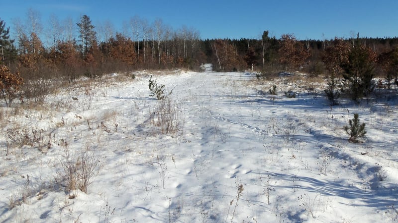 LOTS 11 - 12 Pine Tree Trl, Springbrook, WI 54875