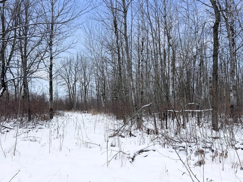TBD Waldo Rd NE, Kelliher, MN 56650