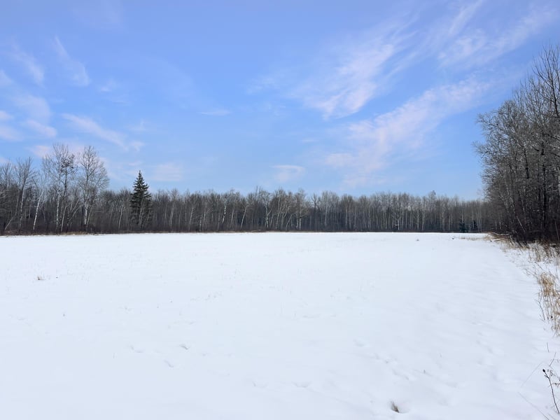 TBD Waldo Rd NE, Kelliher, MN 56650