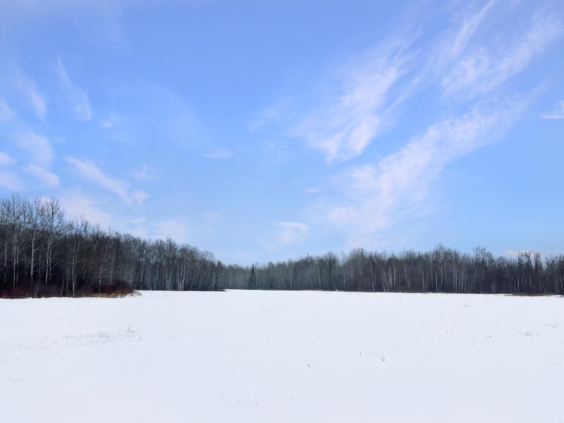 TBD Waldo Rd NE, Kelliher, MN 56650