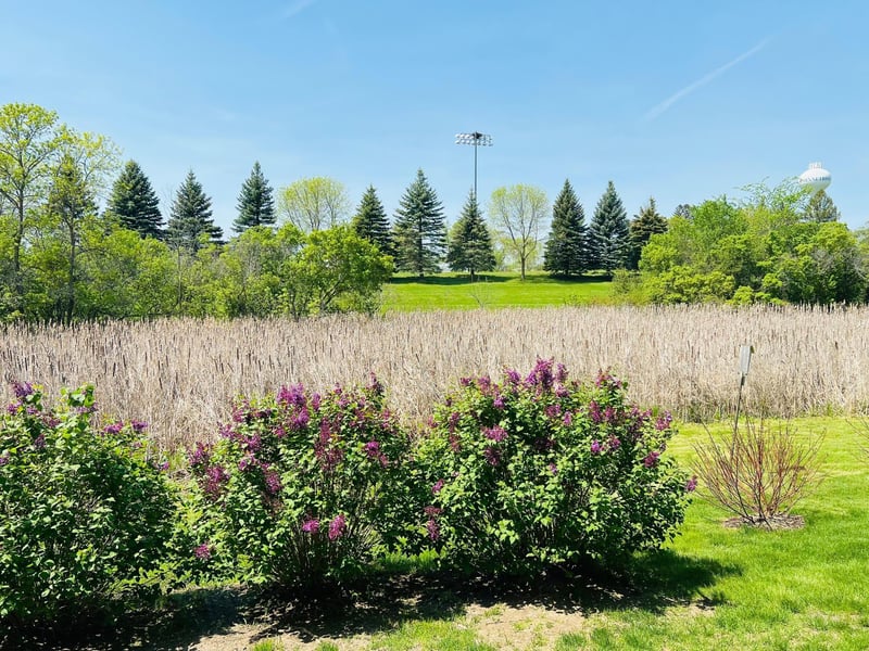 1255 Langewood Dr, Minnetrista, MN 55364