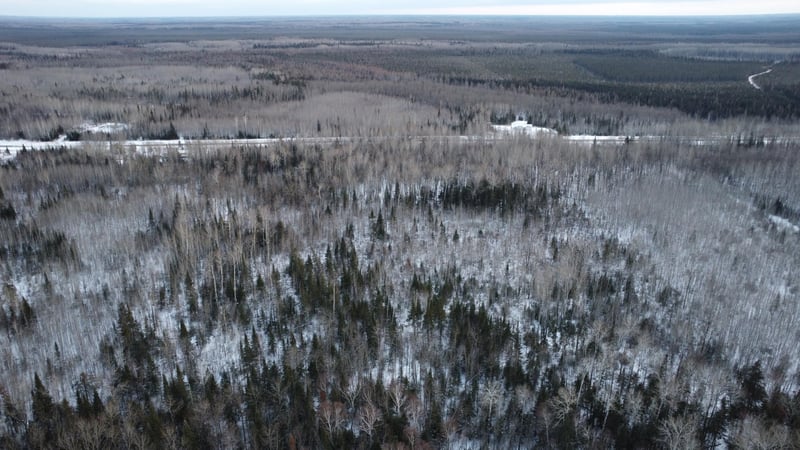 TBD County Road 77, Littlefork, MN 56653