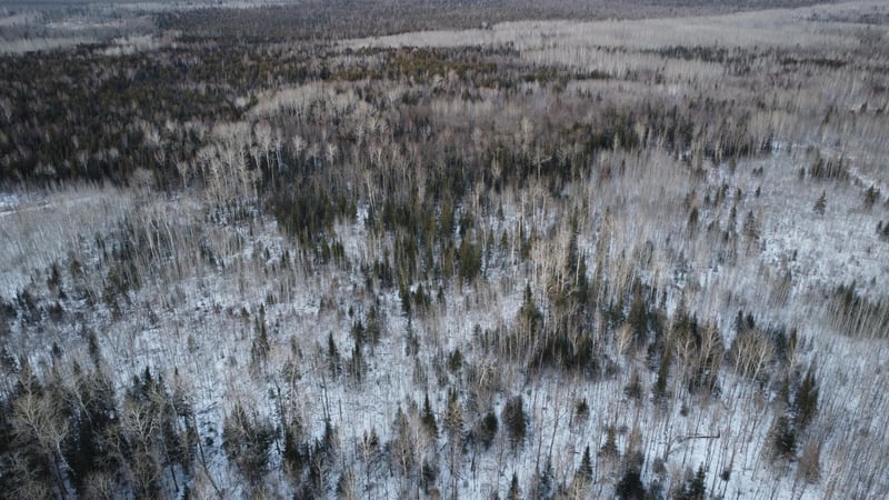 TBD County Road 77, Littlefork, MN 56653
