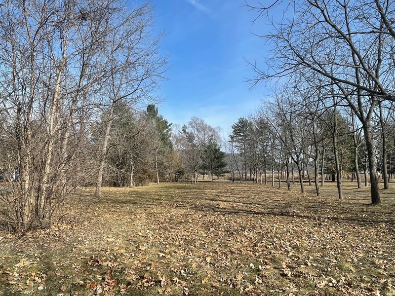 49 W 14th St, Cochrane, WI 54622