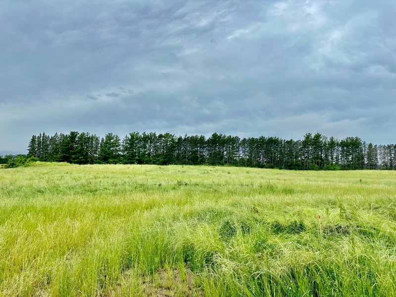 2535 Pioneer Trl, Medina, MN 55340