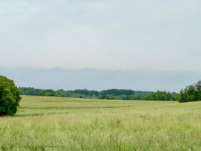 2515 Pioneer Trl, Medina, MN 55340