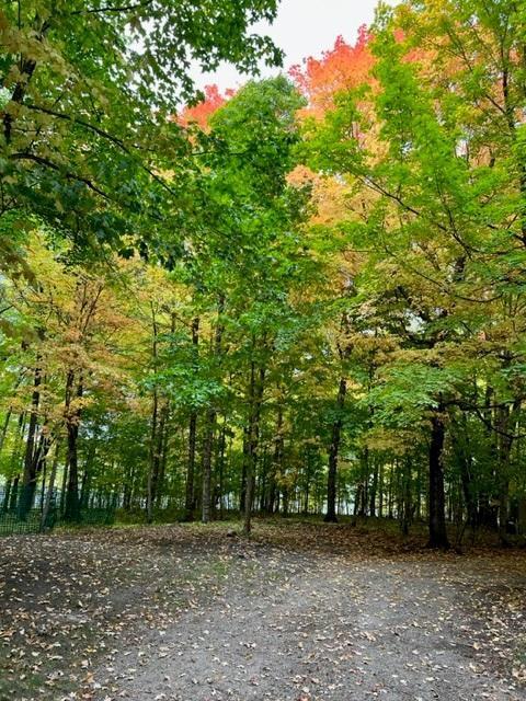 38155 Dead Lake Rd, Richville, MN 56576