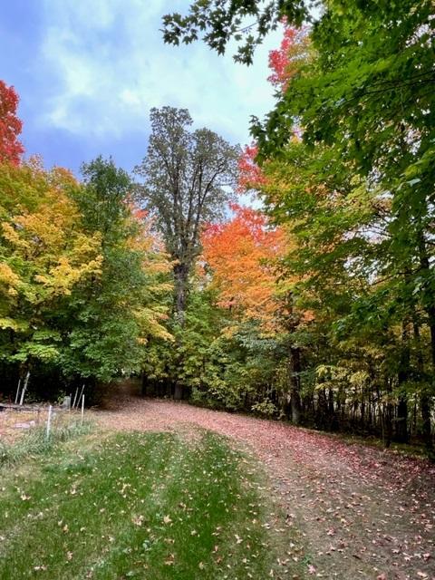 38155 Dead Lake Rd, Richville, MN 56576