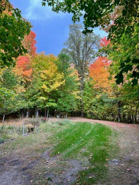 38155 Dead Lake Rd, Richville, MN 56576