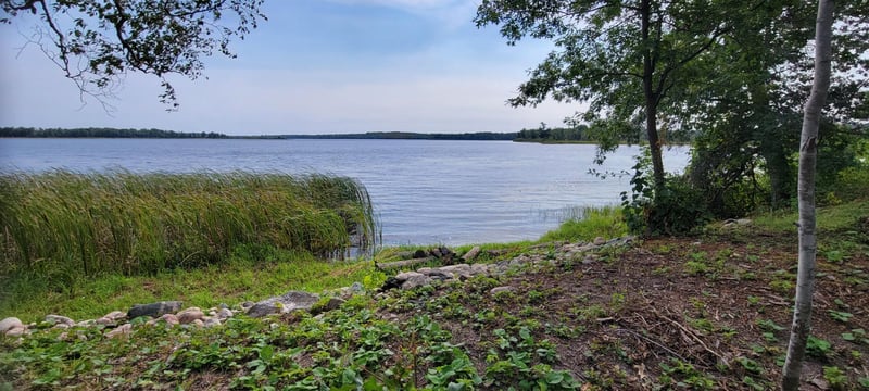 7280 County Road 8 NE, Longville, MN 56655