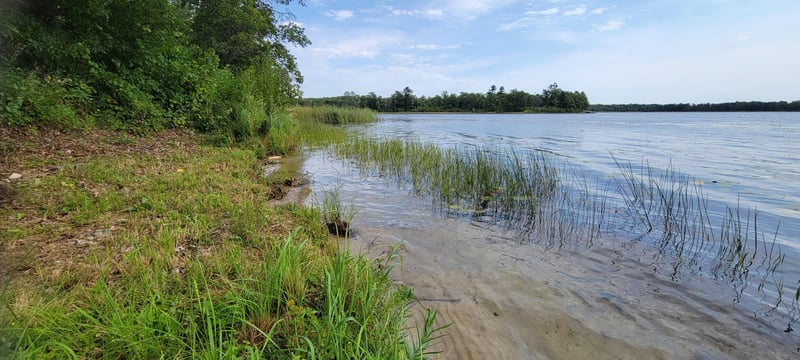 7280 County Road 8 NE, Longville, MN 56655