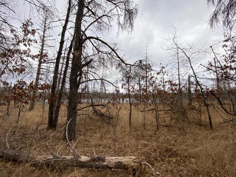 Lot 3 Steinhilpert Dr, Solon Springs, WI 54873