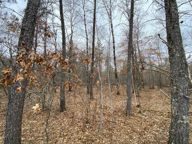 Lot 3 Steinhilpert Dr, Solon Springs, WI 54873