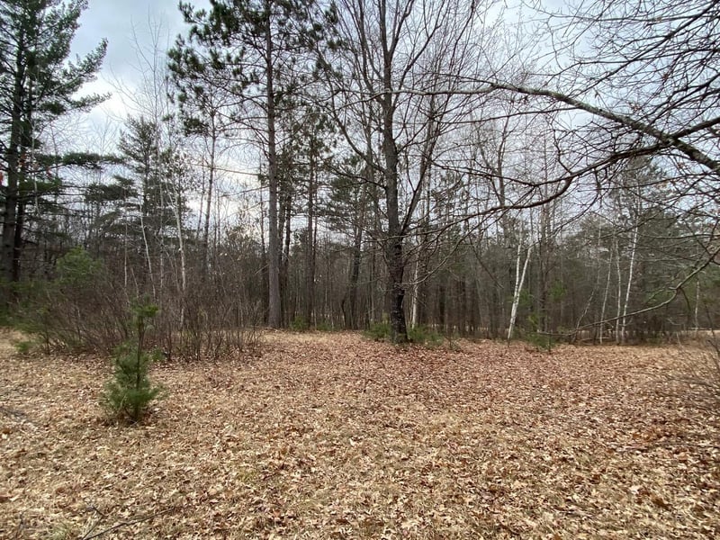 Lot 4 Steinhilpert Dr, Solon Springs, WI 54873