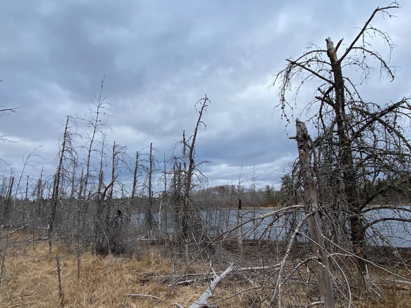 Lot 4 Steinhilpert Dr, Solon Springs, WI 54873