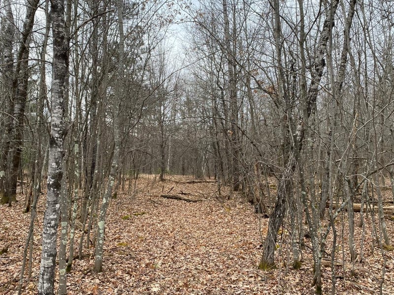 Lot 4 Steinhilpert Dr, Solon Springs, WI 54873