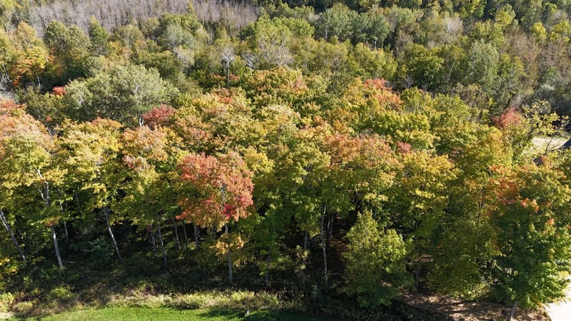 xxxx Chinook Dr, Duluth, MN 55811