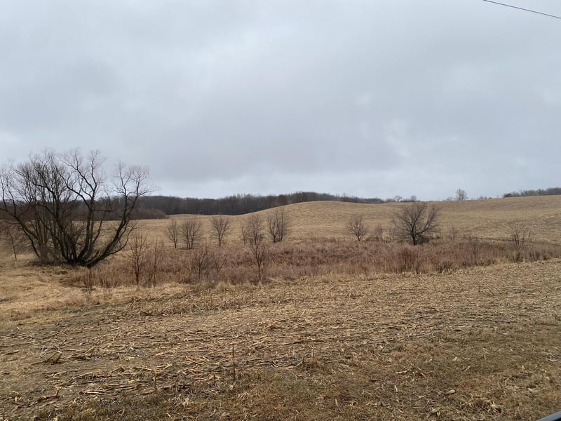 51st 51st St NW, Garfield, MN 56332