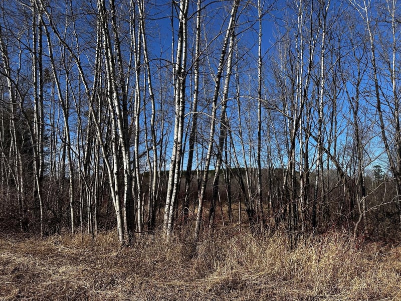 8601 E County Rd L, Solon Springs, WI 54873