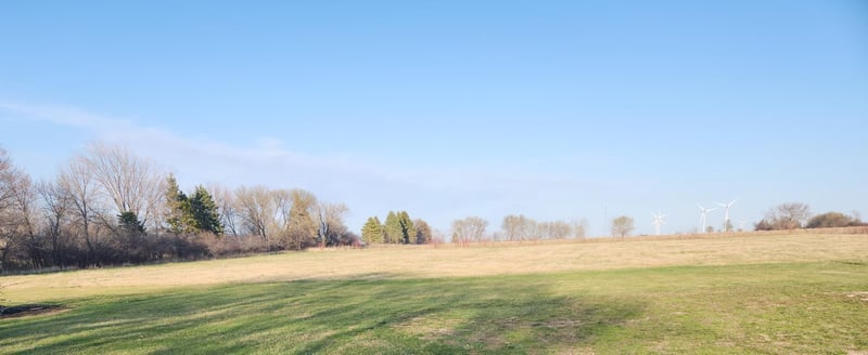 73420 200th Ave, Hayfield, MN 55940