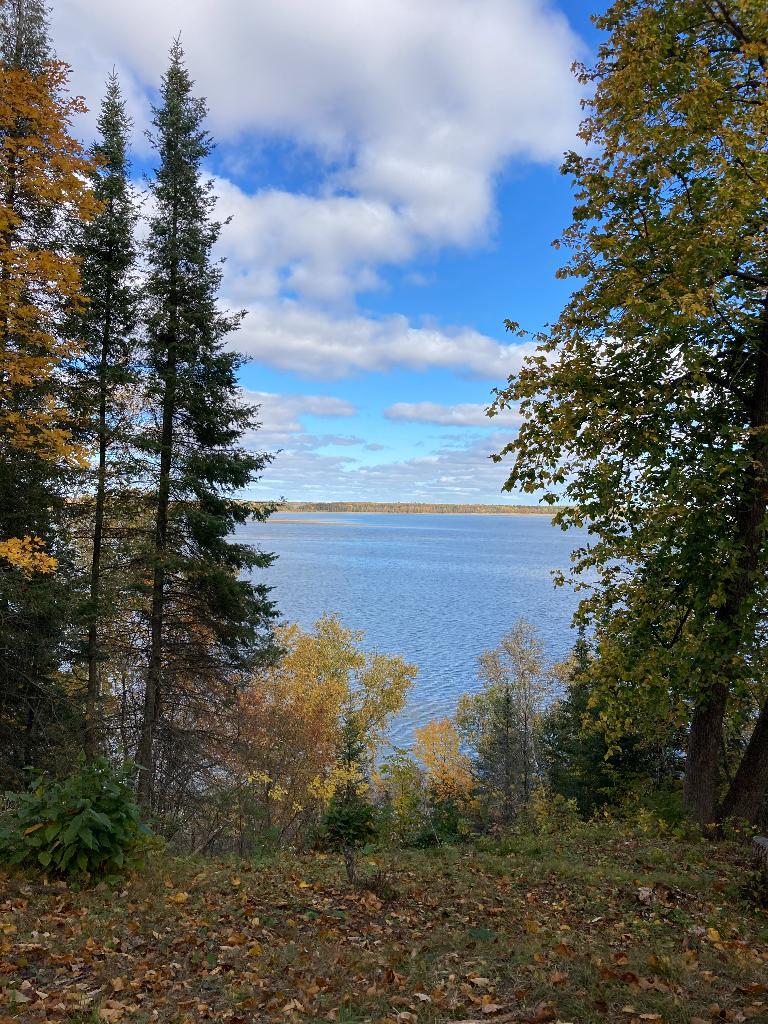 45306 Maple Shores Ln, Osage, MN 56570