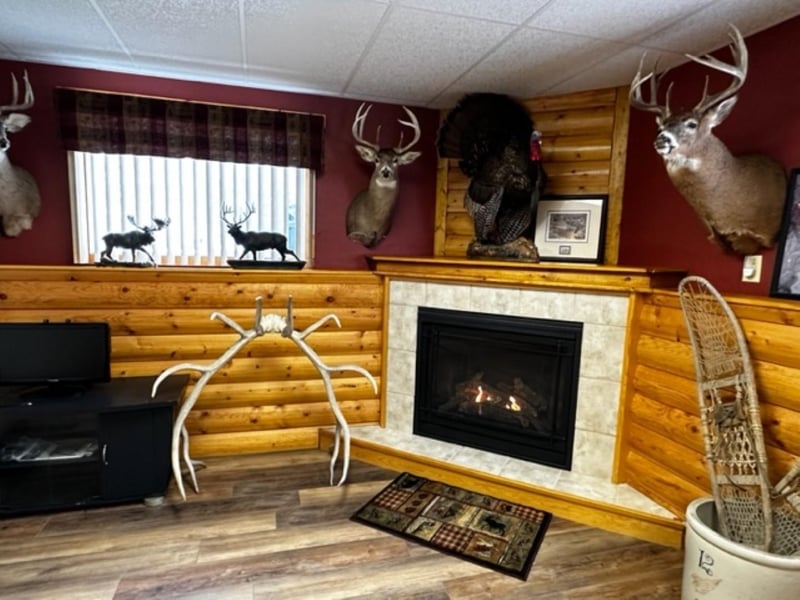 5481 Road 54, Aurora, MN 55705