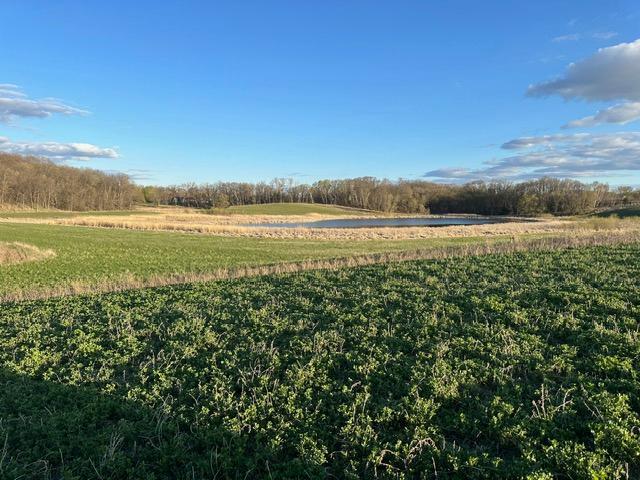Lot 3 Blk 2 Lakeway Dr, Pelican Rapids, MN 56572