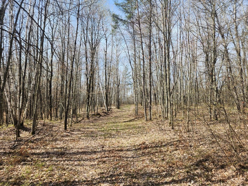 W4903 Veazie Rd, Trego, WI 54888