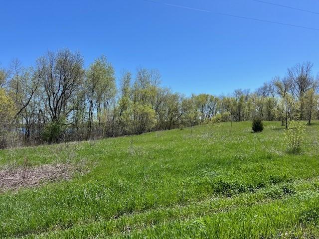 Lot 11 Alum Trl, Grey Eagle, MN 56336