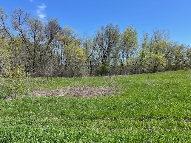 Lot 11 Alum Trl, Grey Eagle, MN 56336