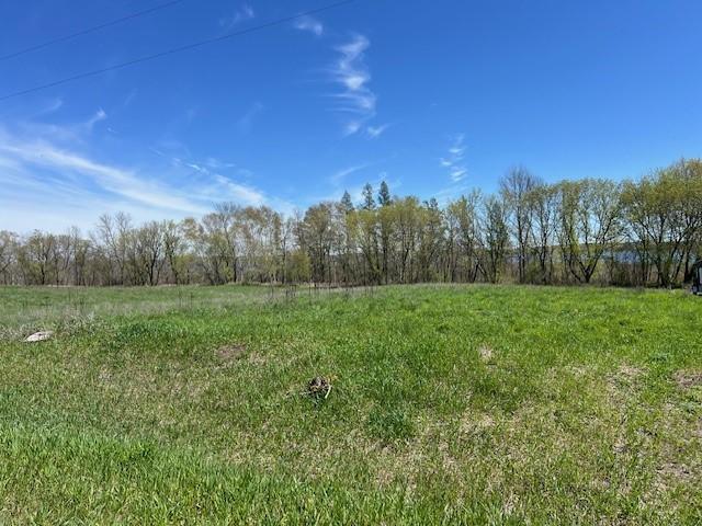 Lot 14 Alum Trl, Grey Eagle, MN 56336