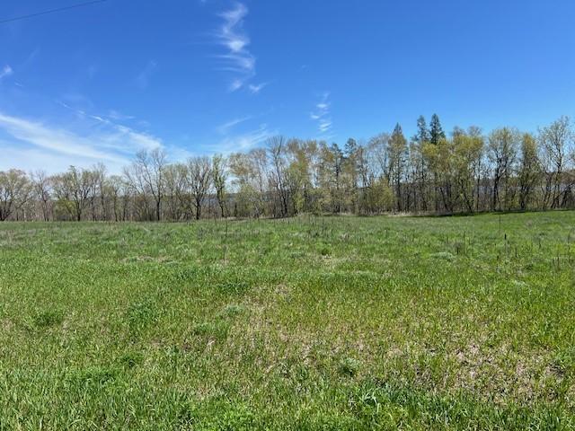Lot 15 Alum Trl, Grey Eagle, MN 56336