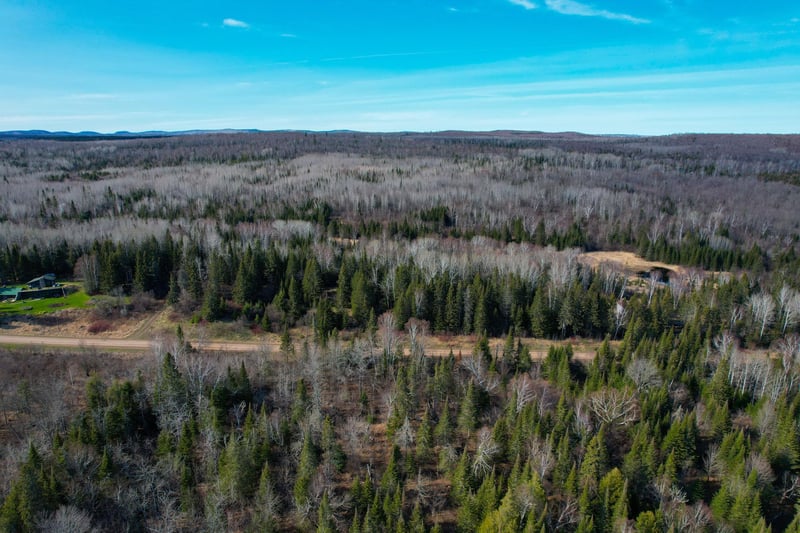 xxx County Rd 60, Grand Marais, MN 55604