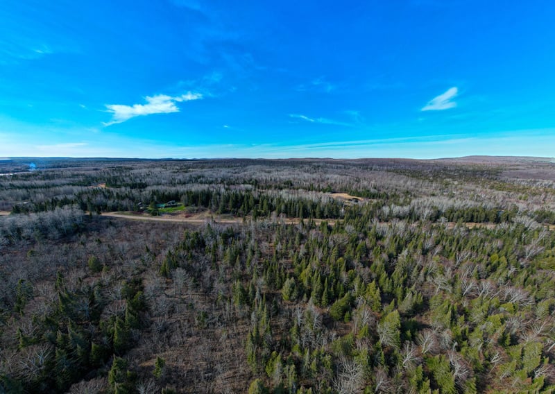 xxx County Rd 60, Grand Marais, MN 55604