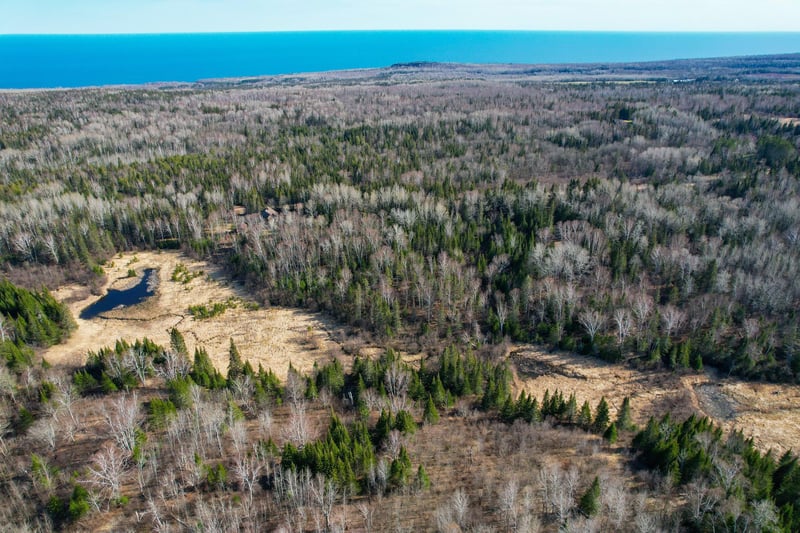 xxx County Rd 60, Grand Marais, MN 55604