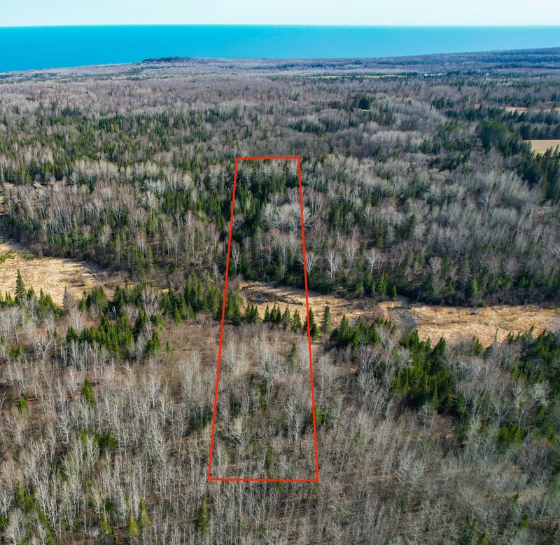 xxx County Rd 60, Grand Marais, MN 55604