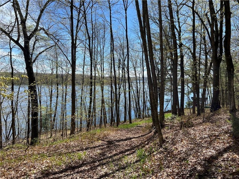 XXX County Hwy Md, Sarona, WI 54870